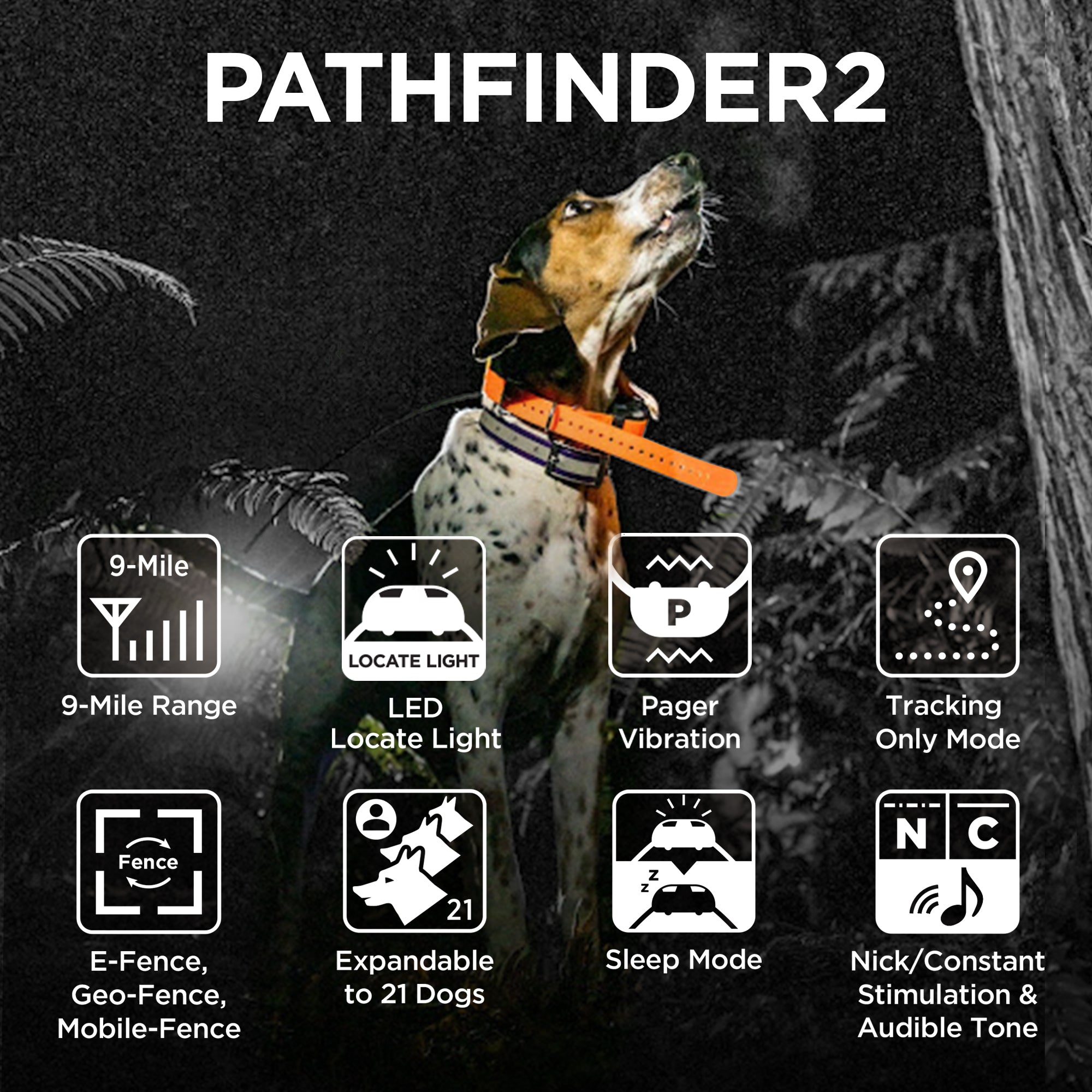 DOGTRA Pathfinder2