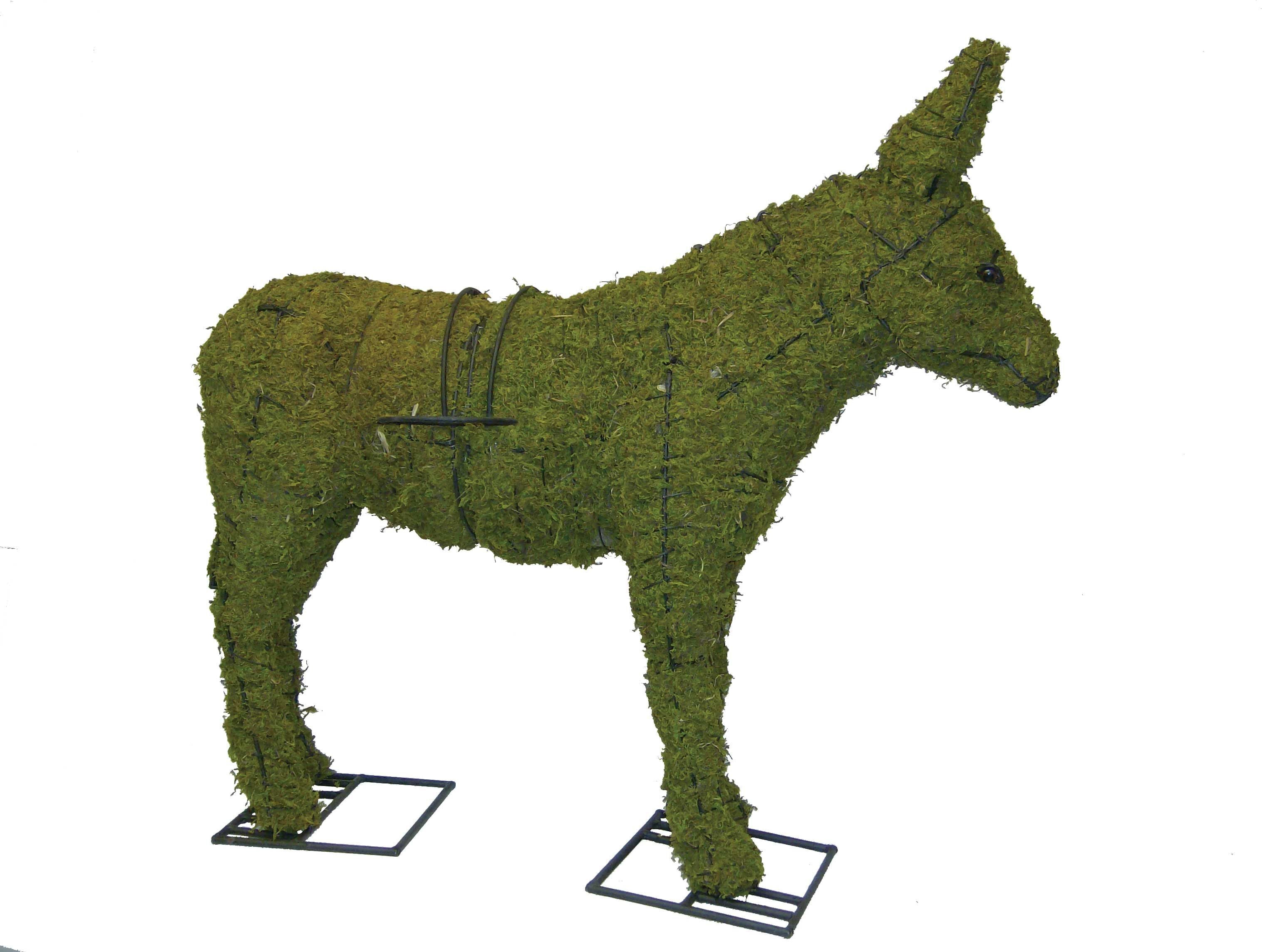 Donkey Topiary - 18" (Mossed)