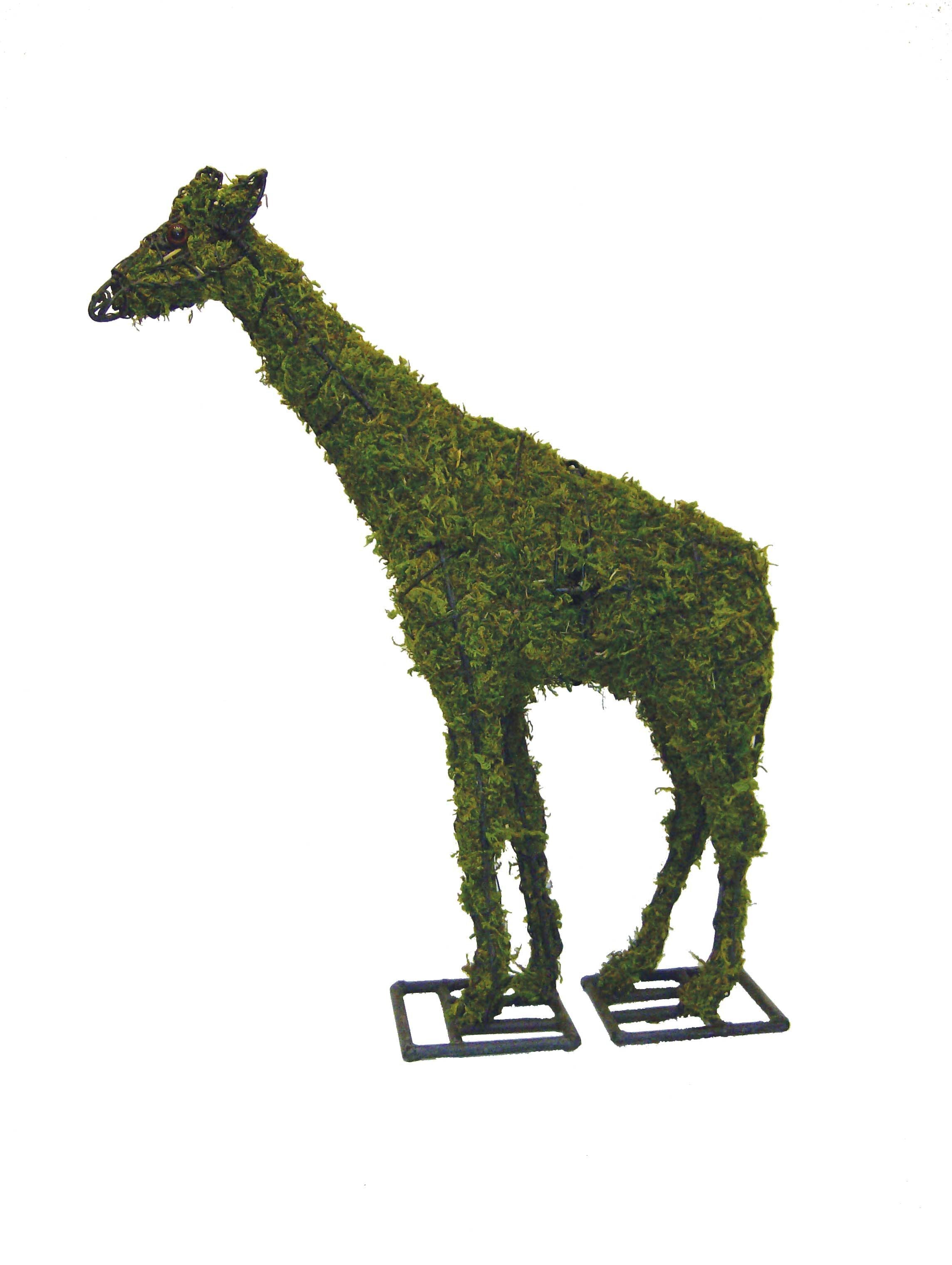 Giraffe Topiary - 168" (Mossed)
