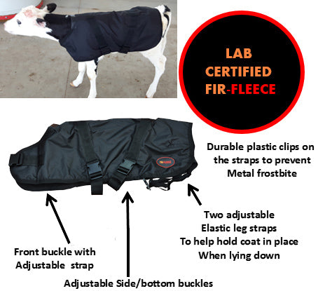 Therapeutic Calf Coats