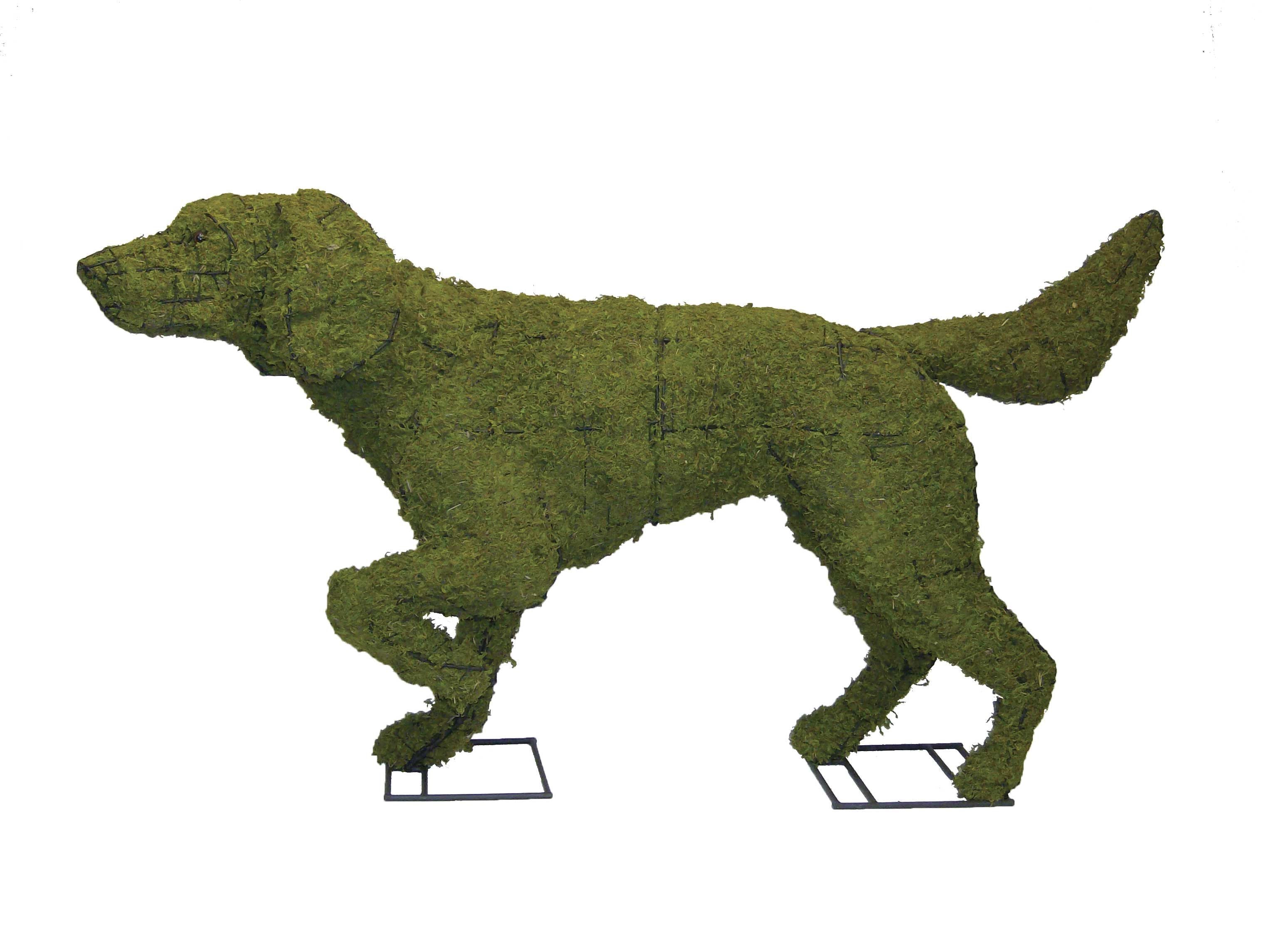 Pointer Topiary - 32" (Mossed)