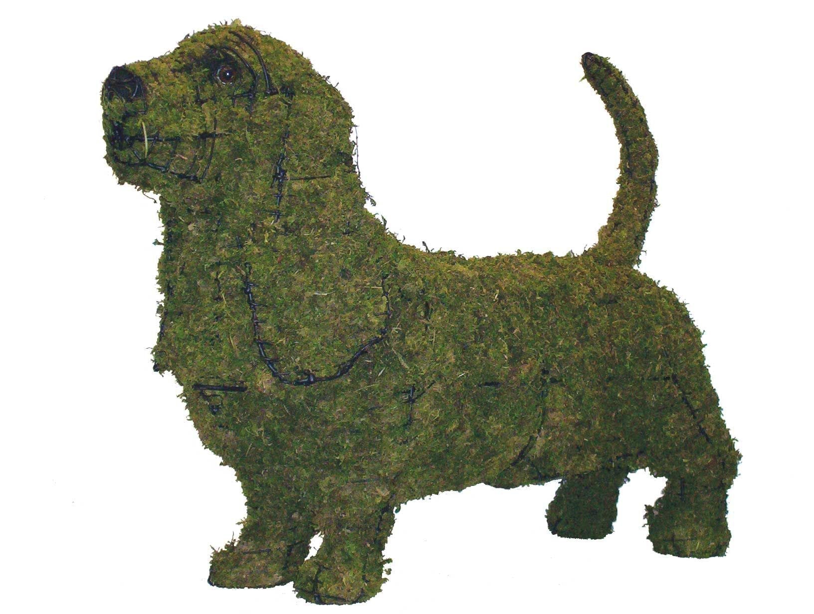 Basset Hound Topiary - 21" (Mossed)