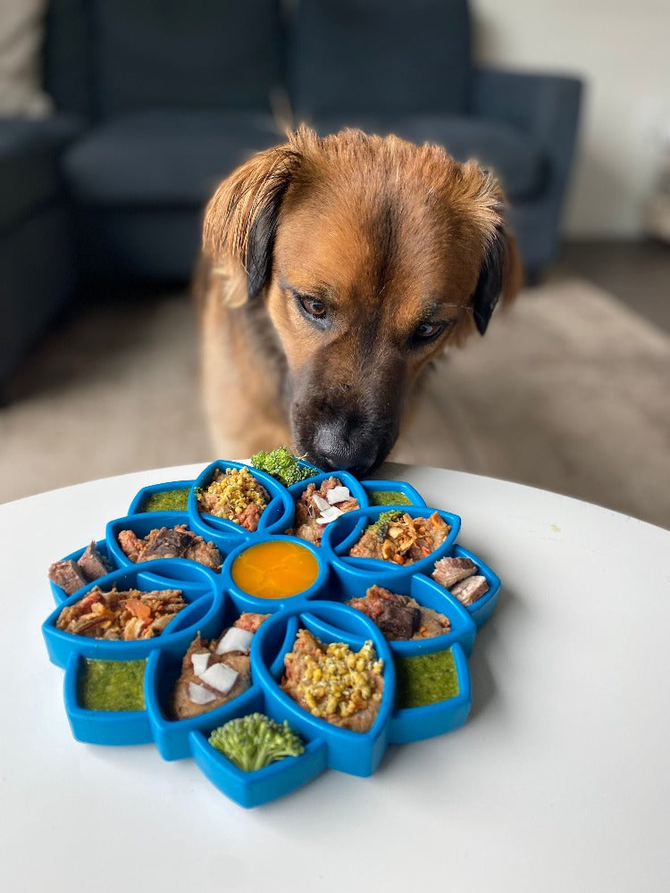 ETRAY Lick Tray - Mandala