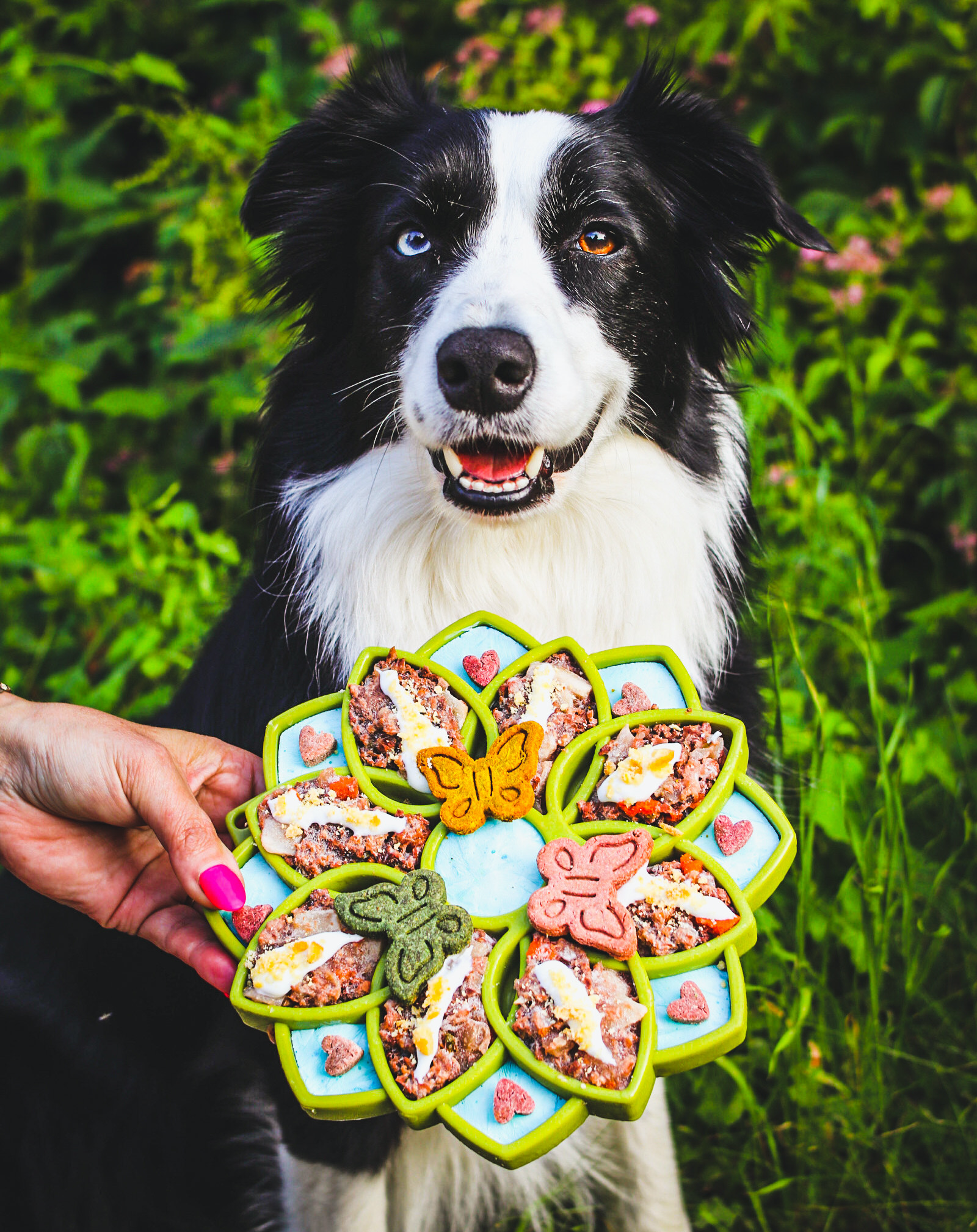 ETRAY Lick Tray - Mandala
