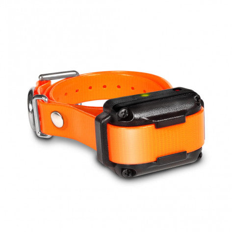 IQ PLUS Additional Receiver/Collar (Orange)