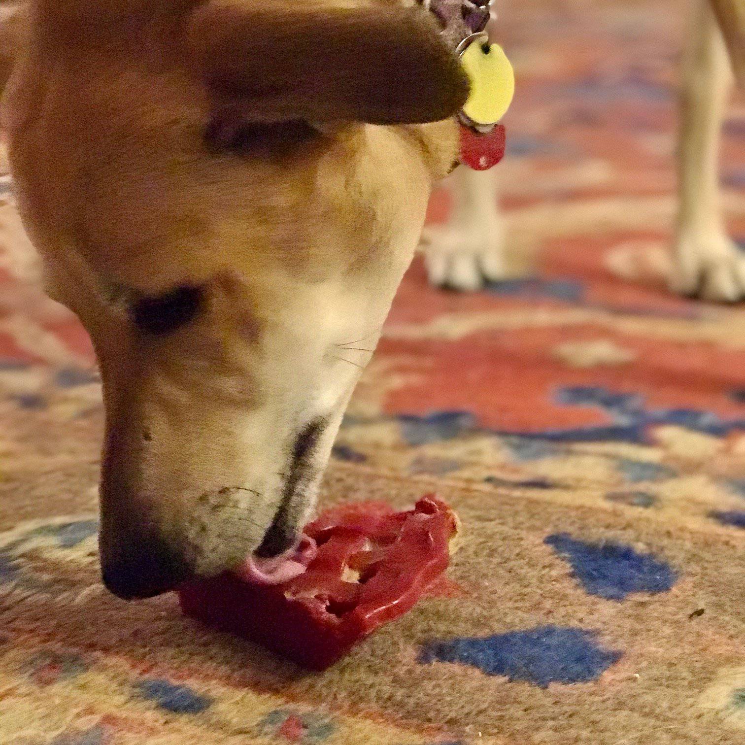 Nylon Dog Chew Toy - Cherry Pie
