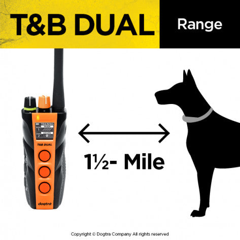 DOGTRA T&B Dual 2 Dog Training and Beeper