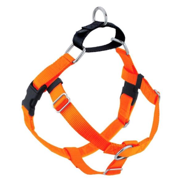 Freedom No-Pull Dog Harness - Neon Orange