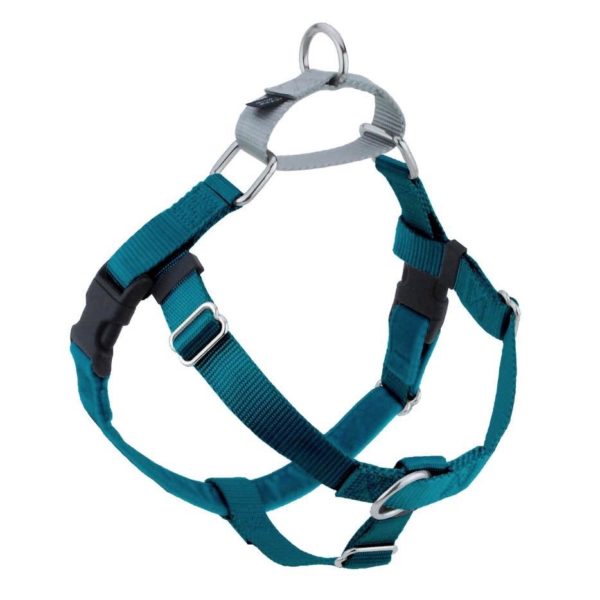 Freedom No-Pull Dog Harness - Teal